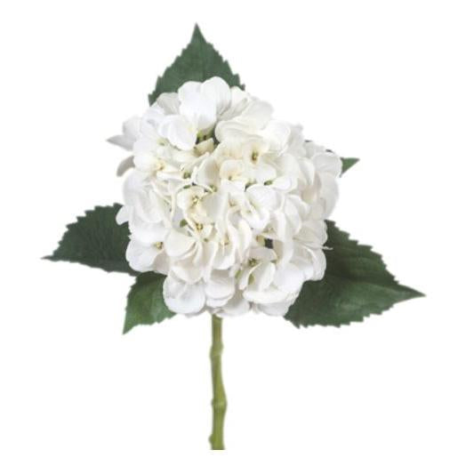 FID0180WH-HYDRANGEA.jpg