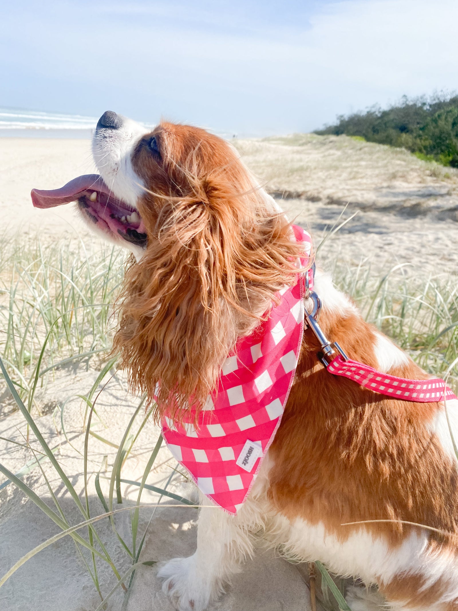 Harvey Gingham Bandana Pink - FINAL SALE - Zjoosh