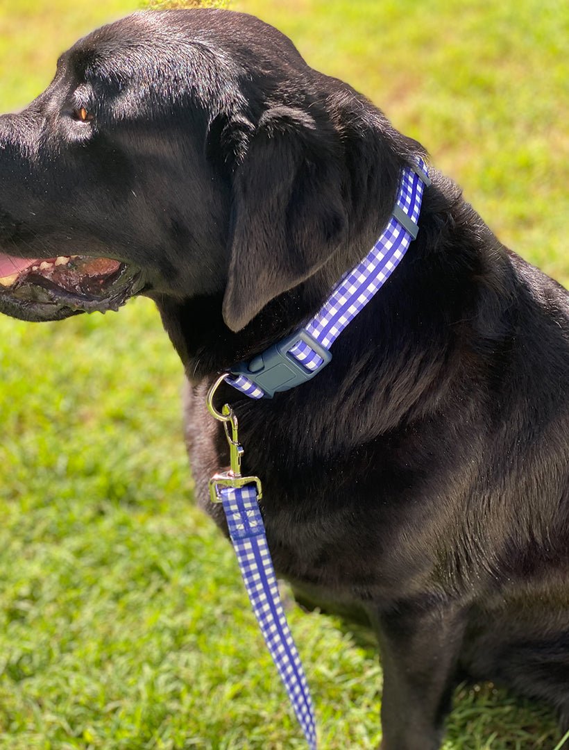 Harvey Gingham Collar and Lead Navy Large - Zjoosh