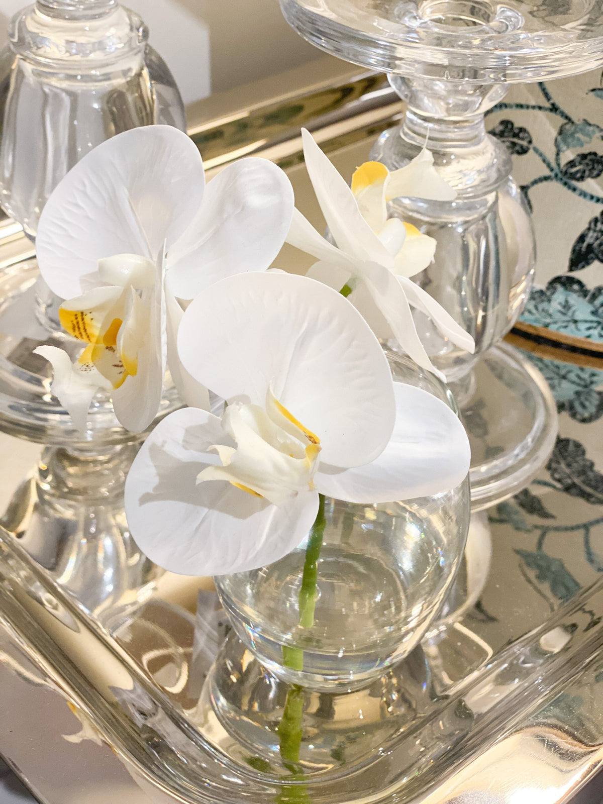 Orchid Phalaenopsis In Vase 15cm White - Zjoosh