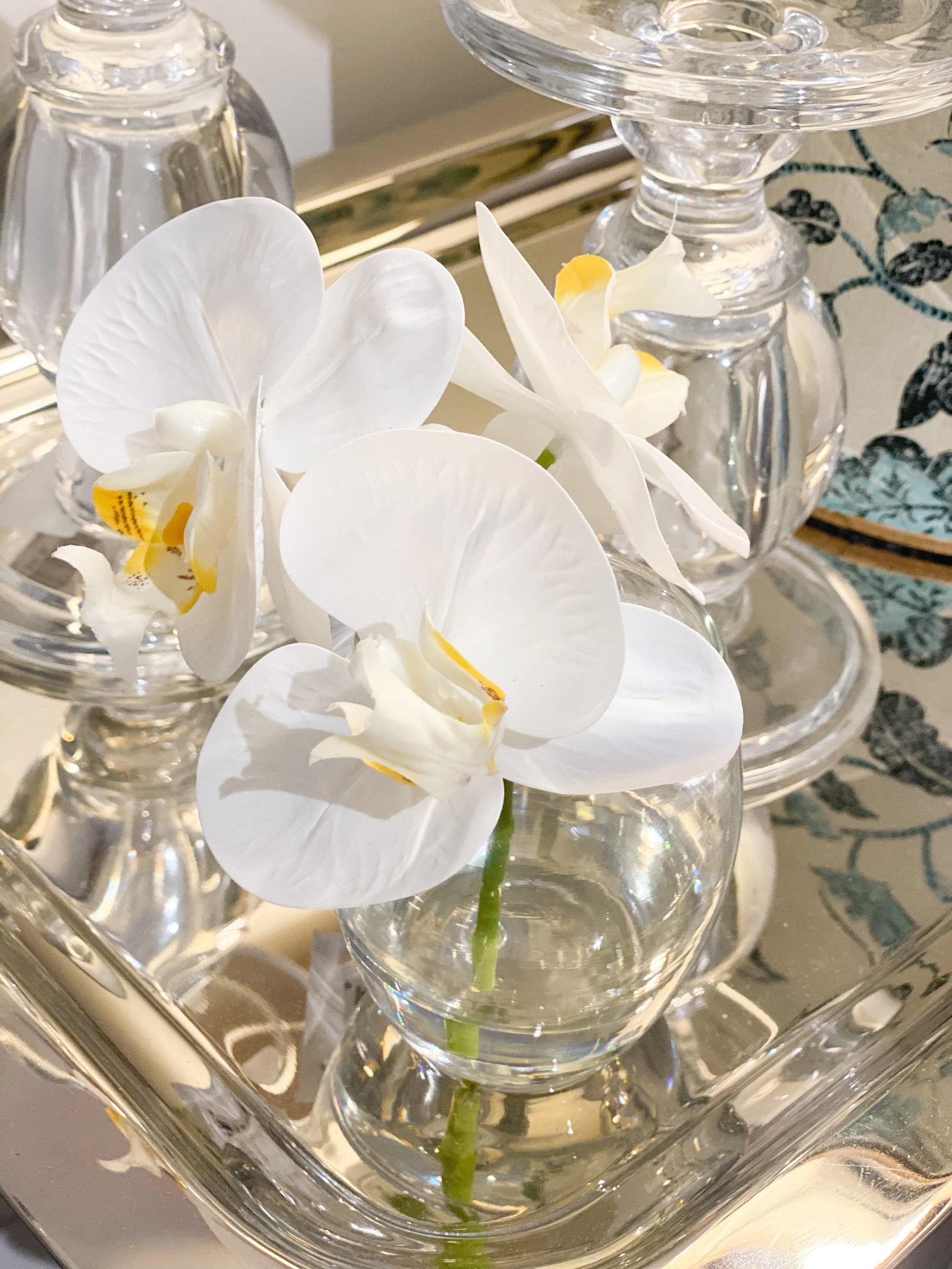 Orchid Phalaenopsis In Vase 15cm White - Zjoosh